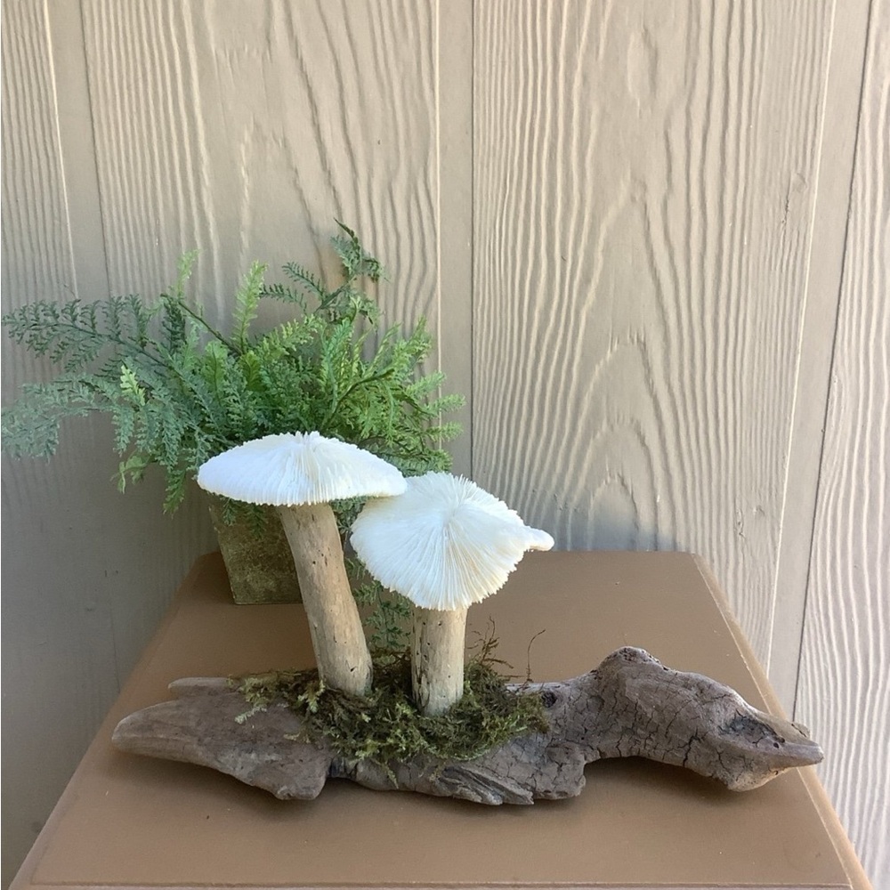 Driftwood Art, Driftwood and Coral Mushrooms, Mushroom Art, Coastal Art
